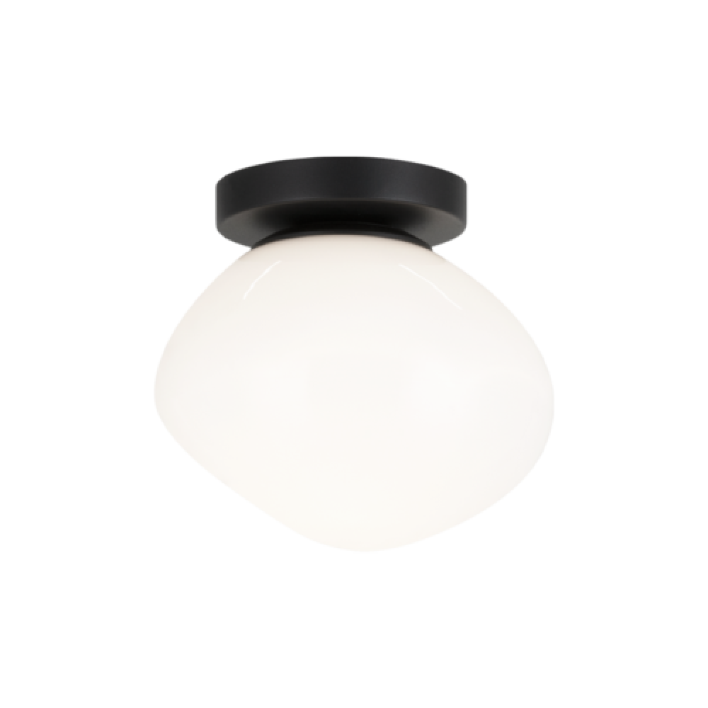 Melotte Black Wall Sconce/Ceiling Mount