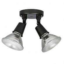 Capital Lighting 9502RZ - 2 Light Outdoor FloodLight