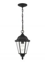 Generation Lighting Seagull 60938-12 - Bakersville traditional 1-light outdoor exterior pendant in black finish with clear beveled glass pa