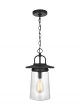 Generation Lighting Seagull 6208901EN7-12 - Tybee casual 1-light LED outdoor exterior ceiling hanging pendant in black finish with clear glass s