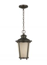 Generation Lighting Seagull 62240-780 - Cape May traditional 1-light outdoor exterior hanging ceiling pendant in burled iron grey finish wit