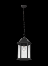 Generation Lighting Seagull 6238701-12 - Sevier traditional 1-light outdoor exterior ceiling hanging pendant in black finish with clear glass