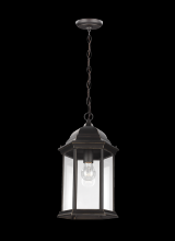 Generation Lighting Seagull 6238701-71 - Sevier traditional 1-light outdoor exterior ceiling hanging pendant in antique bronze finish with cl