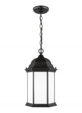 Generation Lighting Seagull 6238751-12 - Sevier traditional 1-light outdoor exterior ceiling hanging pendant in black finish with satin etche