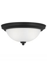 Generation Lighting Seagull 77064-112 - Geary transitional 2-light indoor dimmable ceiling flush mount fixture in midnight black finish with