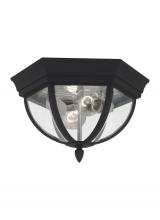 Generation Lighting Seagull 78136-12 - Wynfield traditional 2-light outdoor exterior ceiling ceiling flush mount in black finish with clear