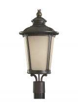 Generation Lighting Seagull 82240-780 - Cape May traditional 1-light outdoor exterior post lantern in burled iron grey finish with etched li