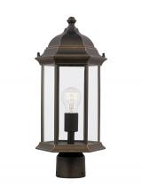 Generation Lighting Seagull 8238601-71 - Sevier traditional 1-light outdoor exterior medium post lantern in antique bronze finish with clear