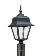 Generation Lighting Seagull 8255-12 - Polycarbonate Outdoor traditional 1-light outdoor exterior medium post lantern in black finish with