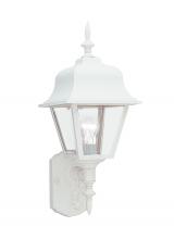 Generation Lighting Seagull 8765-15 - Polycarbonate Outdoor traditional 1-light outdoor exterior large wall lantern sconce in white finish