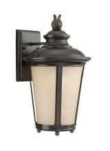 Generation Lighting Seagull 88241EN3-780 - Cape May traditional 1-light LED outdoor exterior medium wall lantern sconce in burled iron grey fin