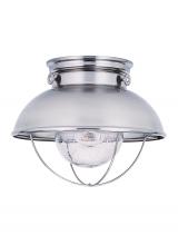 Generation Lighting 8869-98 - Sebring transitional 1-light outdoor exterior ceiling flush mount in brushed stainless silver finish