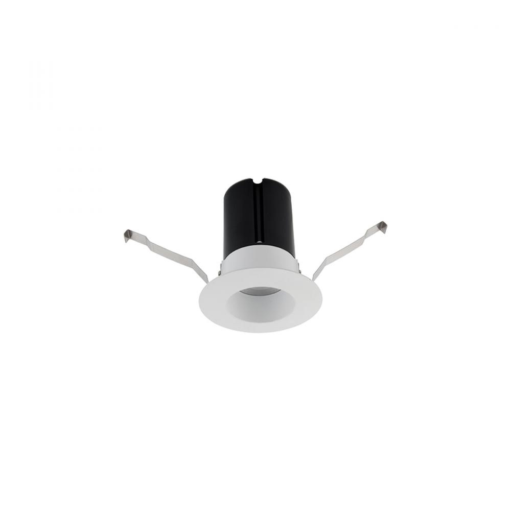 ION 2" Round Remodel Downlight
