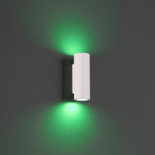WAC Lighting 3911-CSWT - Smart Color Changing LED Landscape Wall Mount Cylinder