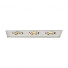 WAC Lighting MT-316TL-WT - Low Voltage Multiple Invisible Two Light Trim