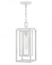 Hinkley Lighting 1002TW - Medium Hanging Lantern