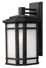 Hinkley Lighting 1274VK - Medium Wall Mount Lantern