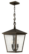 Hinkley Lighting 1432RB - Large Hanging Lantern