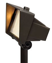 50W FLOOD LIGHT WITH FROSTED LENS