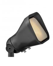 Hinkley Lighting 15300SK-LL - Flood Spot Light w/ MR16 LED Lamp 12v