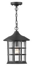 Hinkley Lighting 1862TK - Medium Hanging Lantern