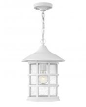 Hinkley Lighting 1862TW - Medium Hanging Lantern