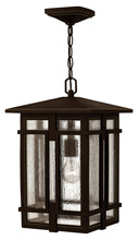 Hinkley Lighting 1962OZ - Medium Hanging Lantern