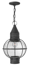 Hinkley Lighting 2202DZ - Medium Hanging Lantern
