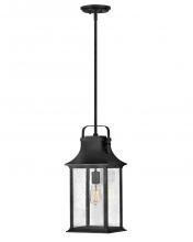 Hinkley Lighting 2392TK - Medium Hanging Lantern