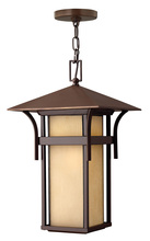 Hinkley Lighting 2572AR - Medium Hanging Lantern