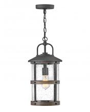 Hinkley Lighting 2682DZ-LV - Medium Hanging Lantern 12v