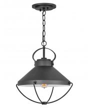 Hinkley Lighting 2692BK - Large Hanging Lantern