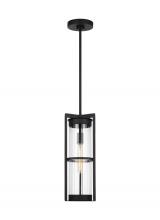 Studio Co. VC 6226701EN7-12 - Alcona transitional 1-light LED outdoor exterior pendant lantern in black finish with clear fluted g
